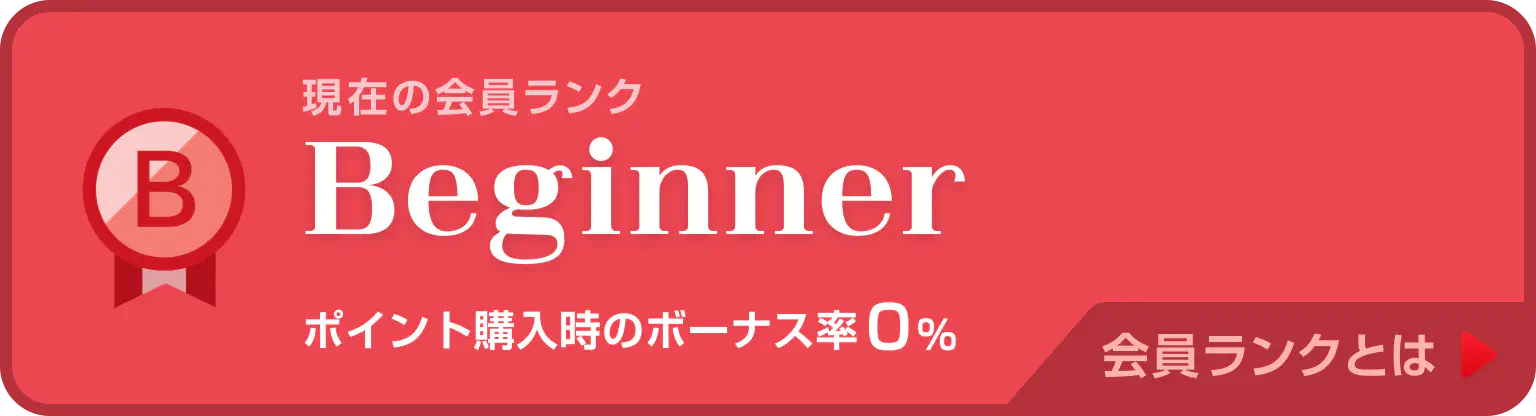 beginner.webp
